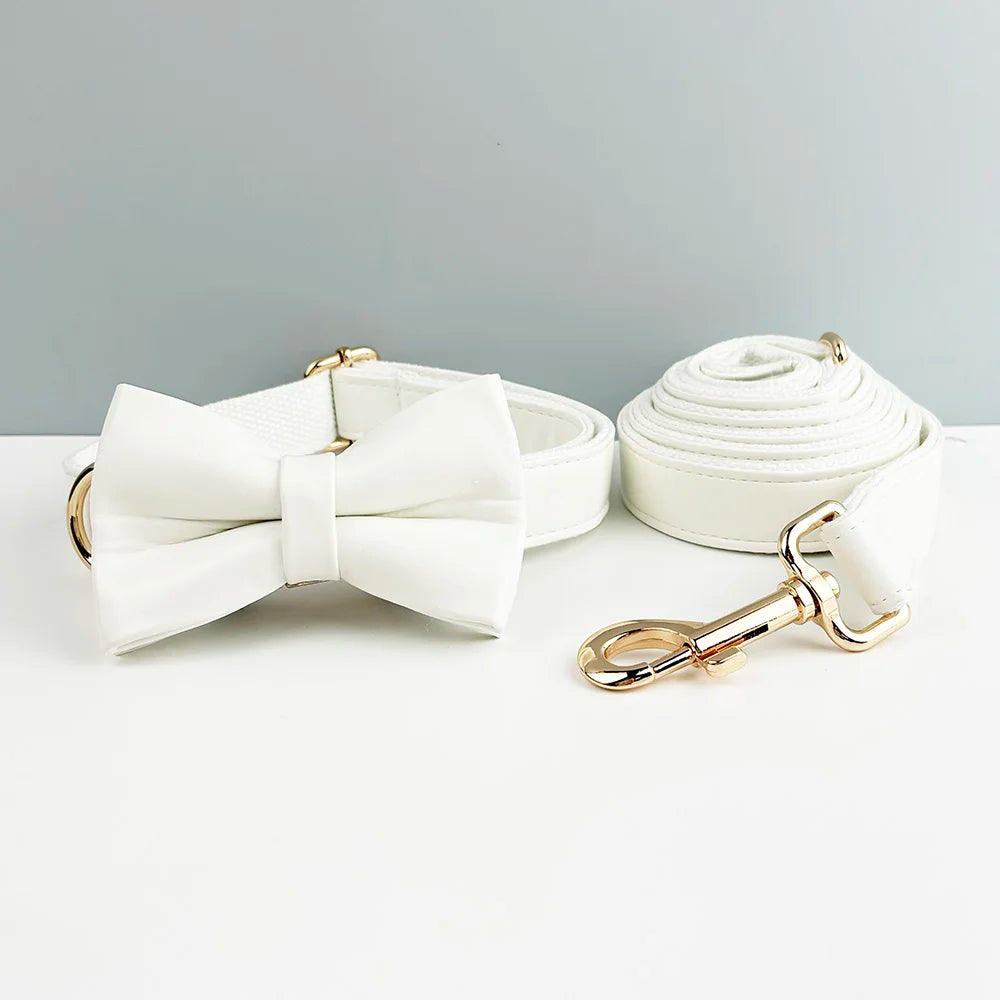 Collier et laisse cuir blanc personnalisable