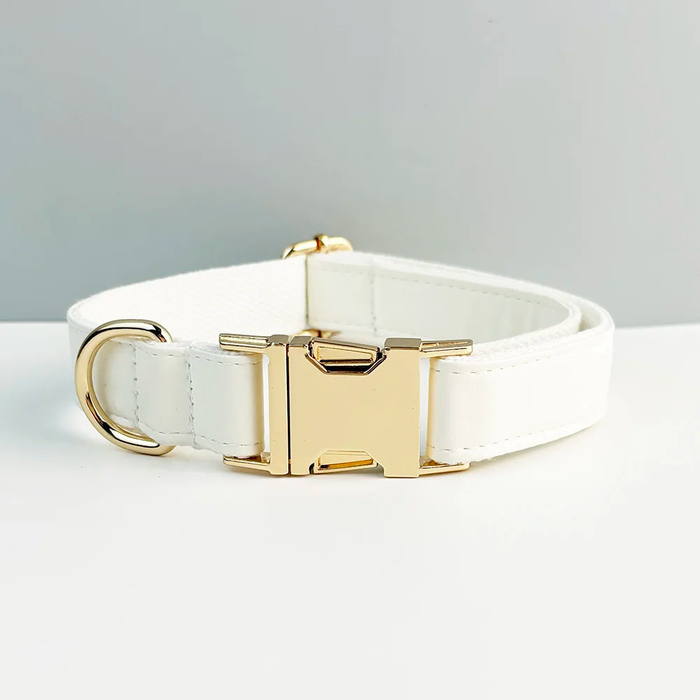 Collier et laisse cuir blanc personnalisable