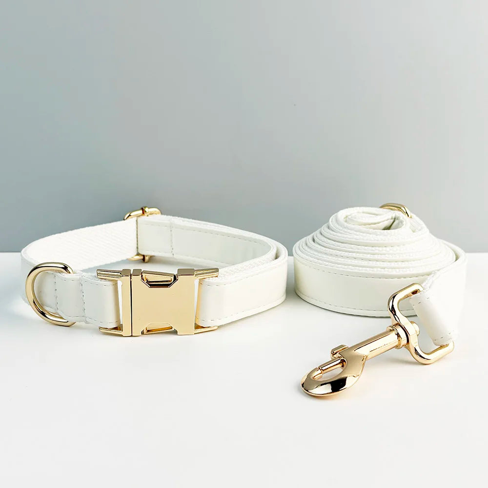 Collier et laisse cuir blanc personnalisable