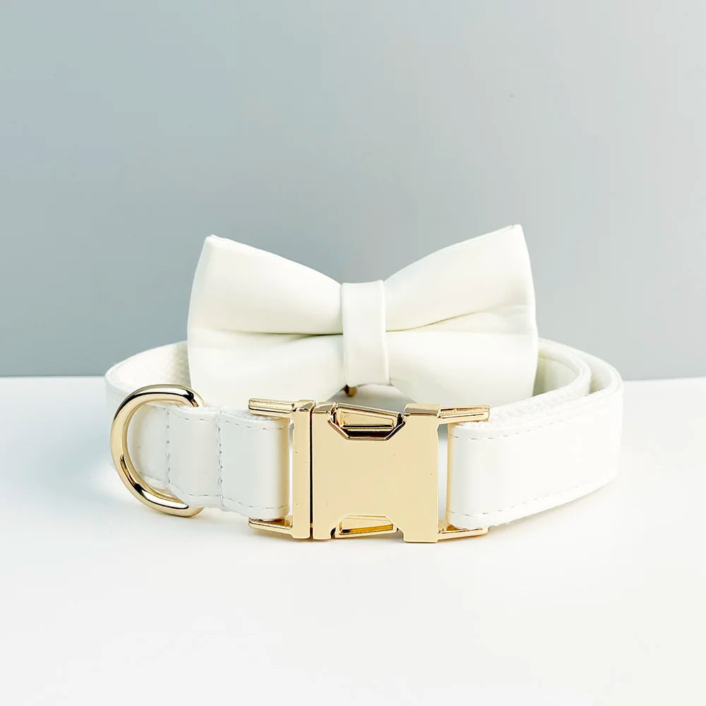 Collier et laisse cuir blanc personnalisable