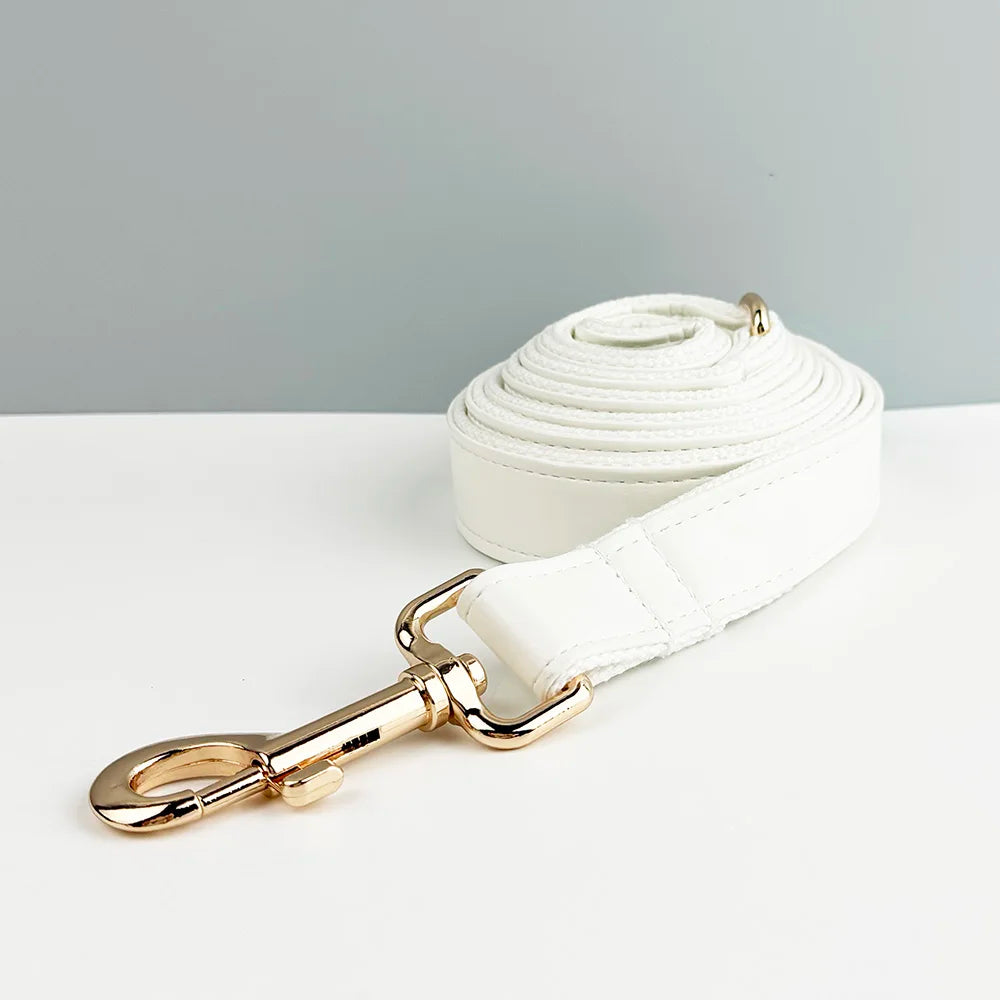Collier et laisse cuir blanc personnalisable
