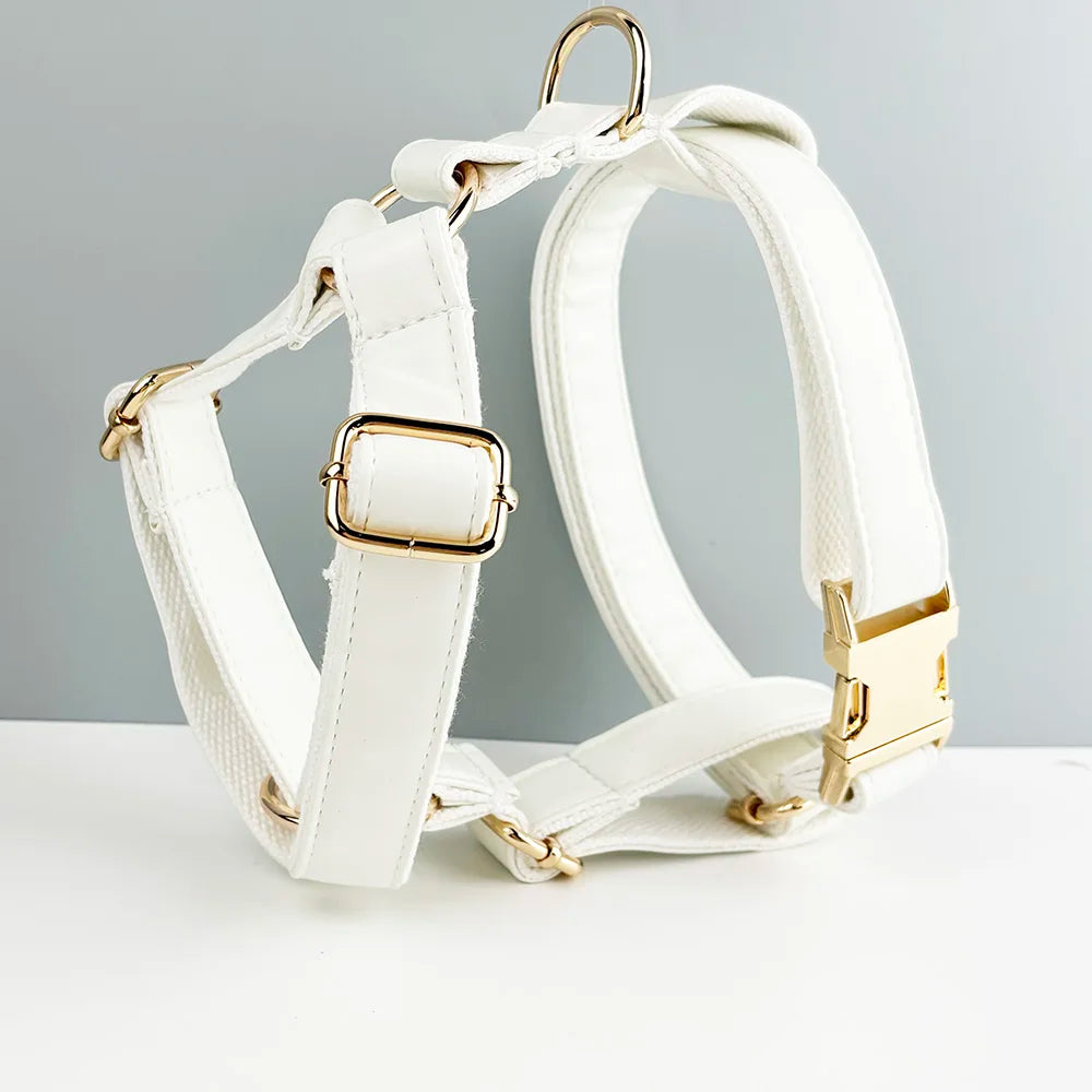 Collier et laisse cuir blanc personnalisable