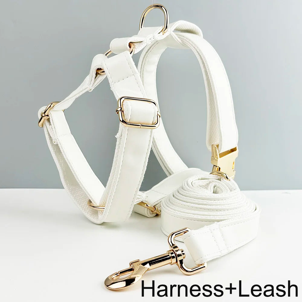 Collier et laisse cuir blanc personnalisable