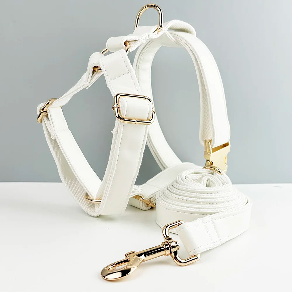 Collier et laisse cuir blanc personnalisable